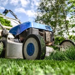 Lawn mower in green grass