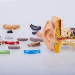 Collection of hearing aids.