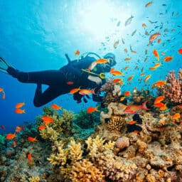 Divers have to be conscientious about equalizing pressure in their ears, as increasing pressure on the ears as they dive can cause damage to ears and hearing.
