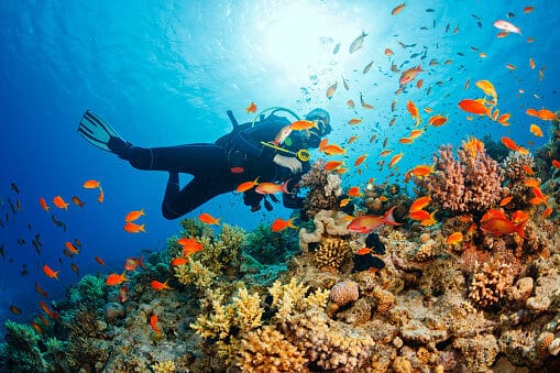 Divers have to be conscientious about equalizing pressure in their ears, as increasing pressure on the ears as they dive can cause damage to ears and hearing.